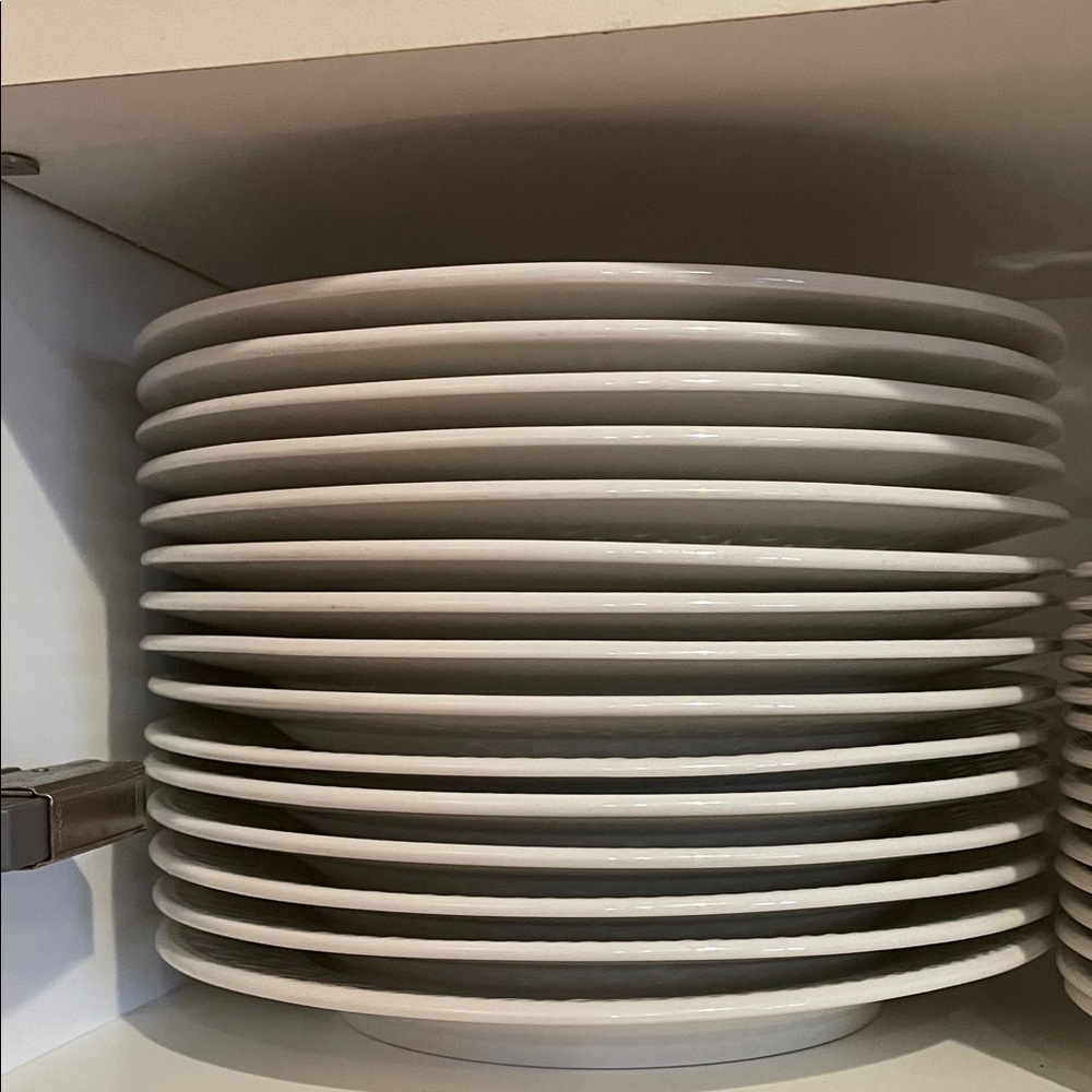 Elegant White Dinner Plate Set